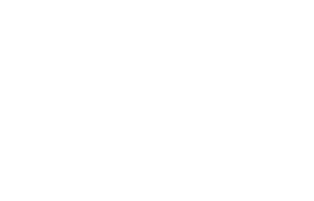 G3E